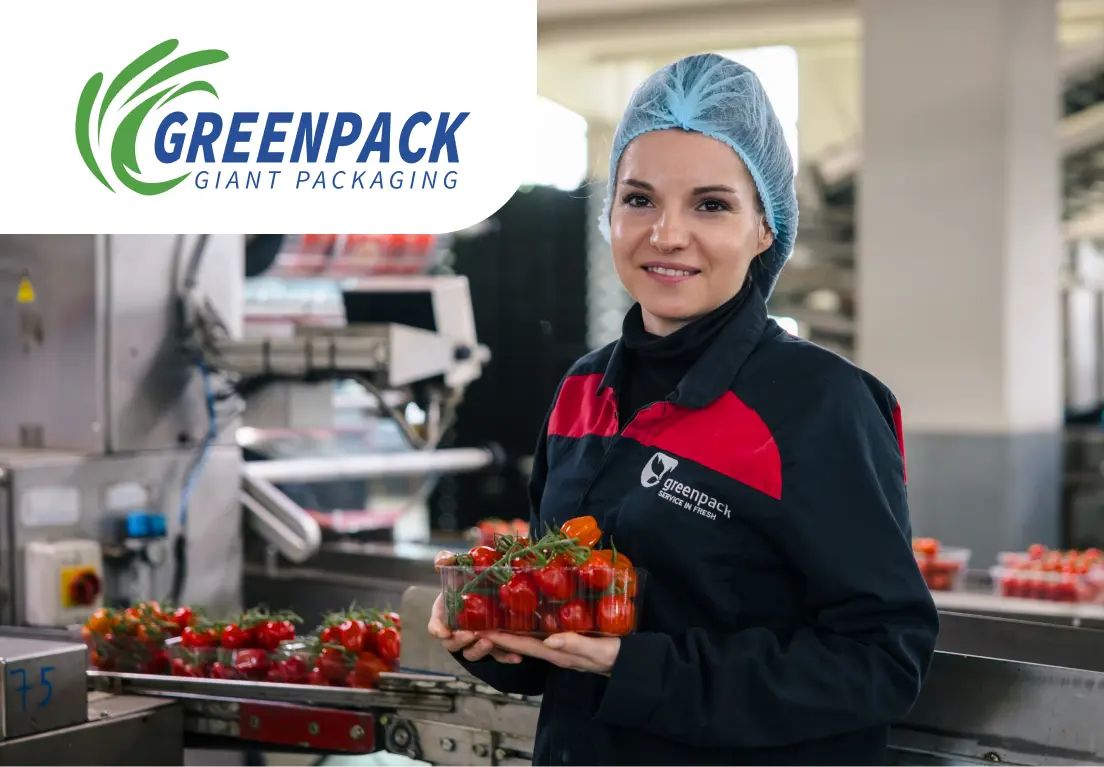Упаковка томатов черри на линии Greenpack